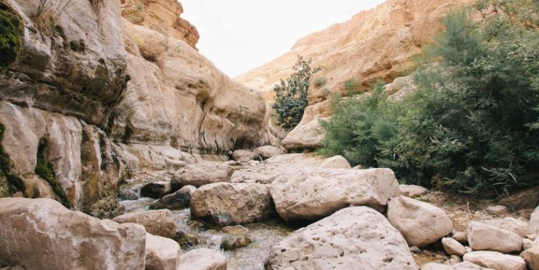 Ein Gedi and the Judean Desert